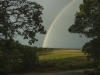 Rainbow_DSC0598